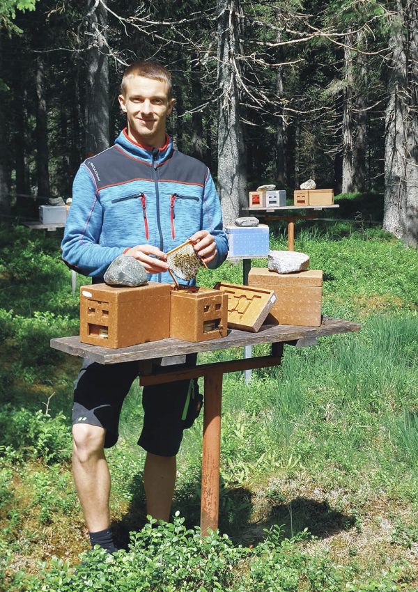 Imker Simon mit Zuchtstation der Königinnen