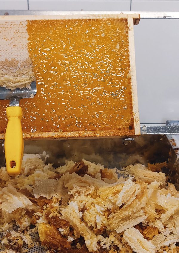 Entfernung Wachsschicht auf Bienenwaben